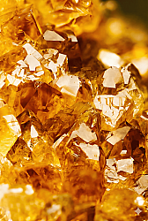 Amber Core - 30gr - 1