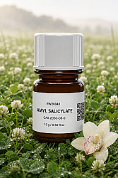 AMYL SALICYLATE - 1