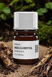 ANGELICA ROOT OIL - 1