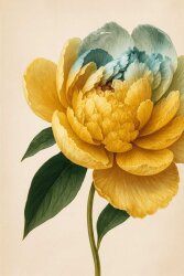 Benzyl Benzoate - 30gr - 1