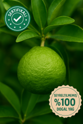 Bergamot 100% - 1