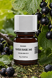 CASSIS BASE 345 - 1