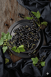 Cassis Base 345B - 30gr - 1