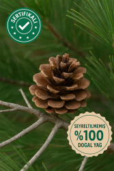 Cedarwood Oil 100% - 1