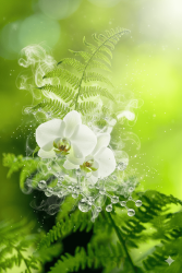 Cis-3-Hexenyl Salicylate - 30gr - 1