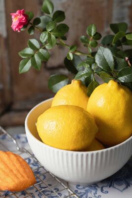 Citral - 30gr - BASF