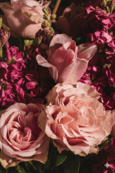 Citronellol 98 - 30gr - 1