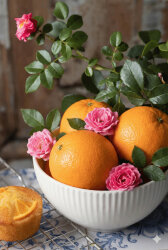 D-Limonene - 30gr - 1