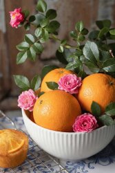 D-Limonene - 30gr - 1