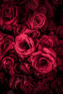 Damascenone - 30gr - Firmenich