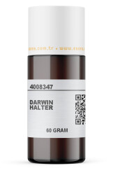 DARWIN HALTER - 7