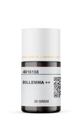 DILLEMMA ++ - 8