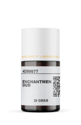 ENCHANTMEN OUD - 8