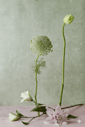 Ethyl Linalool - 30gr - 1