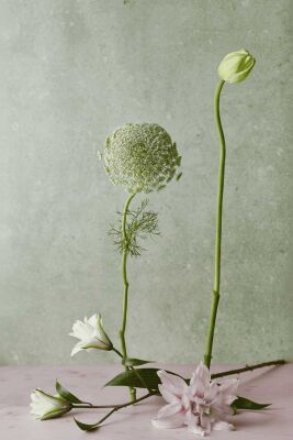 Ethyl Linalool - 30gr - Firmenich