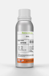 EVIL - 3