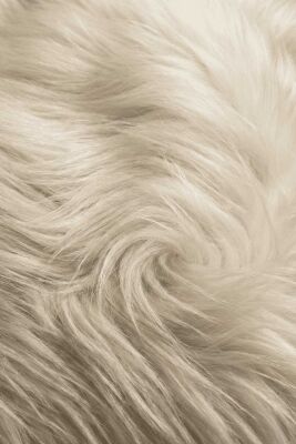 Exaltolide® - 30gr - Firmenich