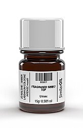 FRAGRANCE S09817 TOP - 2