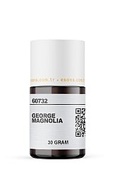 GEORGE MAGNOLIA - 3