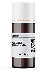 GEORGE MAGNOLIA - 4