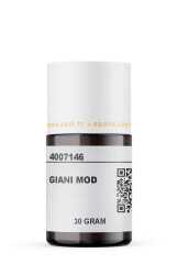 GIANI MOD - 8