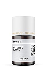 INTENSE ICONE - 3