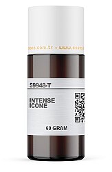 INTENSE ICONE - 4