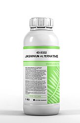 JASMINIUM ALTERNATIVE - 1