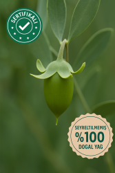 Jojoba 100% - 1