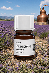 LAVANDIN GROSSO - 1