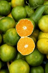 Mandarin Oil, Green - 30gr - 1