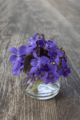 Methyl Ionone Gamma - 30gr - IFF