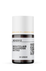 MONTCLAIR MUSKROSE INTRO - 8