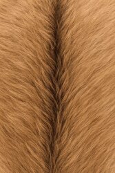 Musk Ketone (Toz) - 30gr - 1