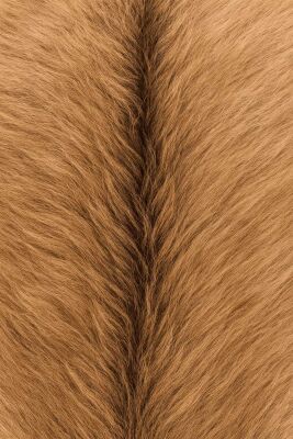 Musk Ketone (Toz) - 30gr - 