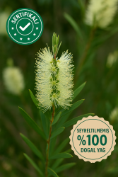 Niaoli 100% - 1