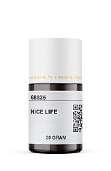 NICE LIFE - 3