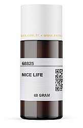 NICE LIFE - 4