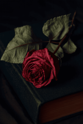 Phenyl Ethyl Alcohol - 30gr - Firmenich