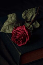 Phenyl Ethyl Alcohol - 30gr - 1