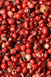 Pink Pepper Oil, Terebinthifolius - 30gr - 1