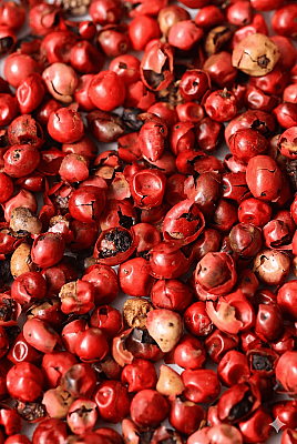 Pink Pepper Oil, Terebinthifolius - 15gr - Firmenich