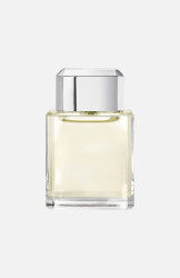 Platinum Egoiste tipi Esans Formülü - 1