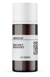 SECRET MAGNET - 7