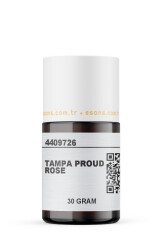 TAMPA PROUD ROSE - 8