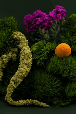 Veramoss® (Evernyl - Toz) - 30gr - IFF