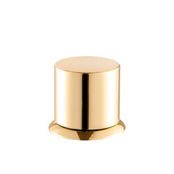 VISCA GOLD model Parfüm Kapağı - 1